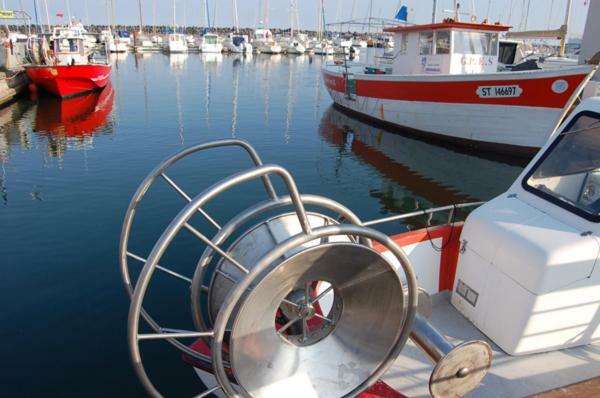 T3 Vue Mer Et Plage, Avec Wifi Et Parking Saint-Pierre-la-Mer  Luaran gambar